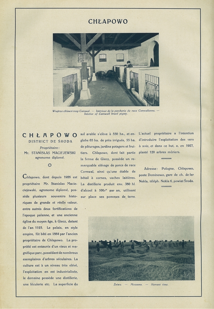 022 chlapowo.jpg